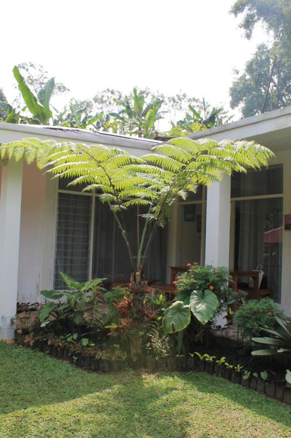 The Forest Villa Bogor Exterior photo