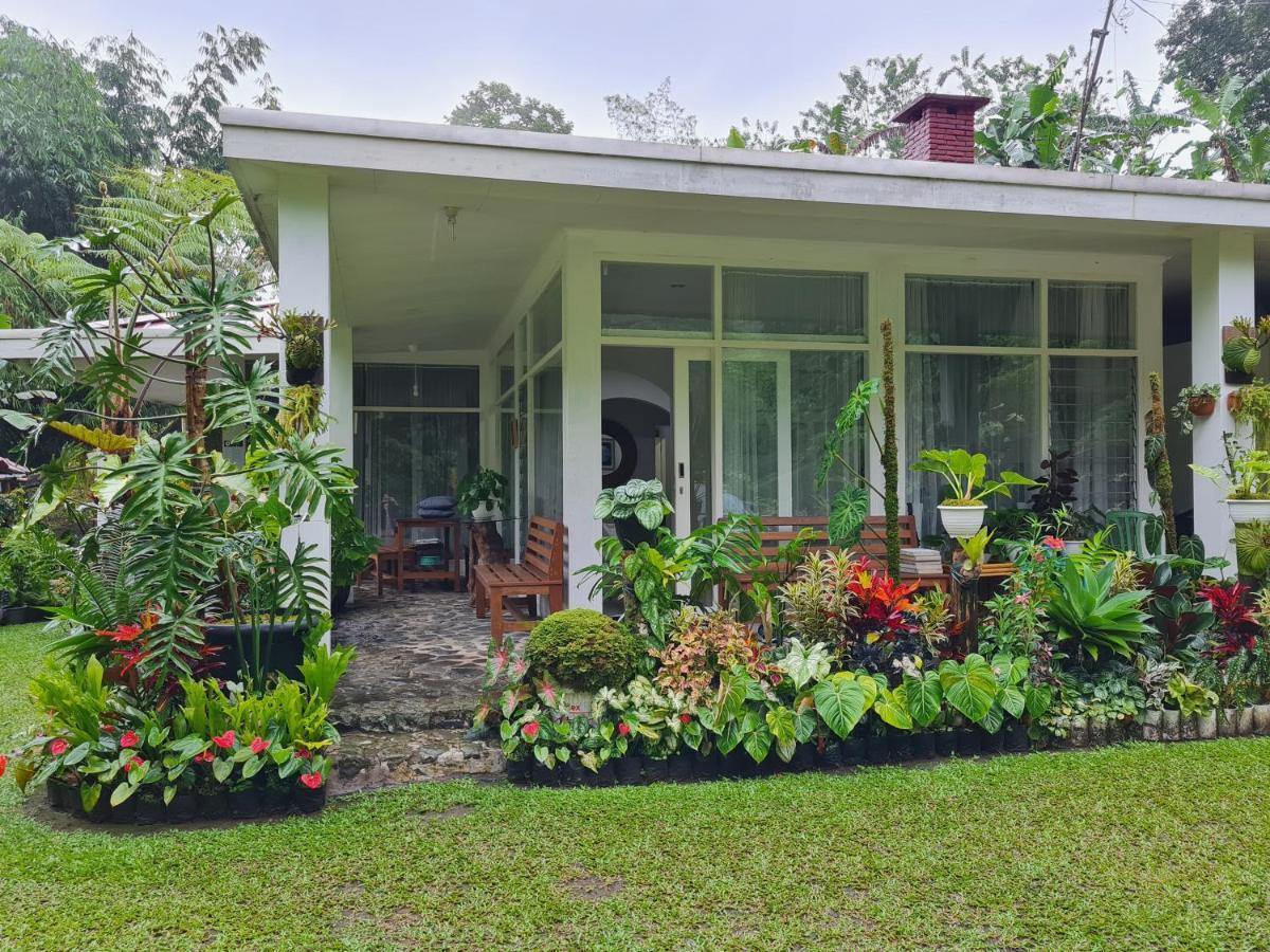 The Forest Villa Bogor Exterior photo